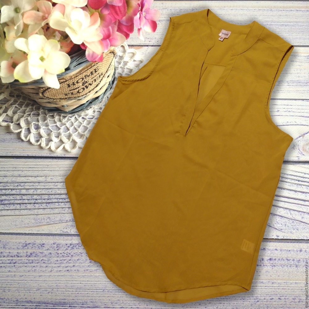 Dizzy Gal • Sheer Sleeveless Blouse Size 1X